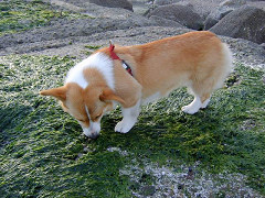 Resize of SANY1010_thumb.jpg